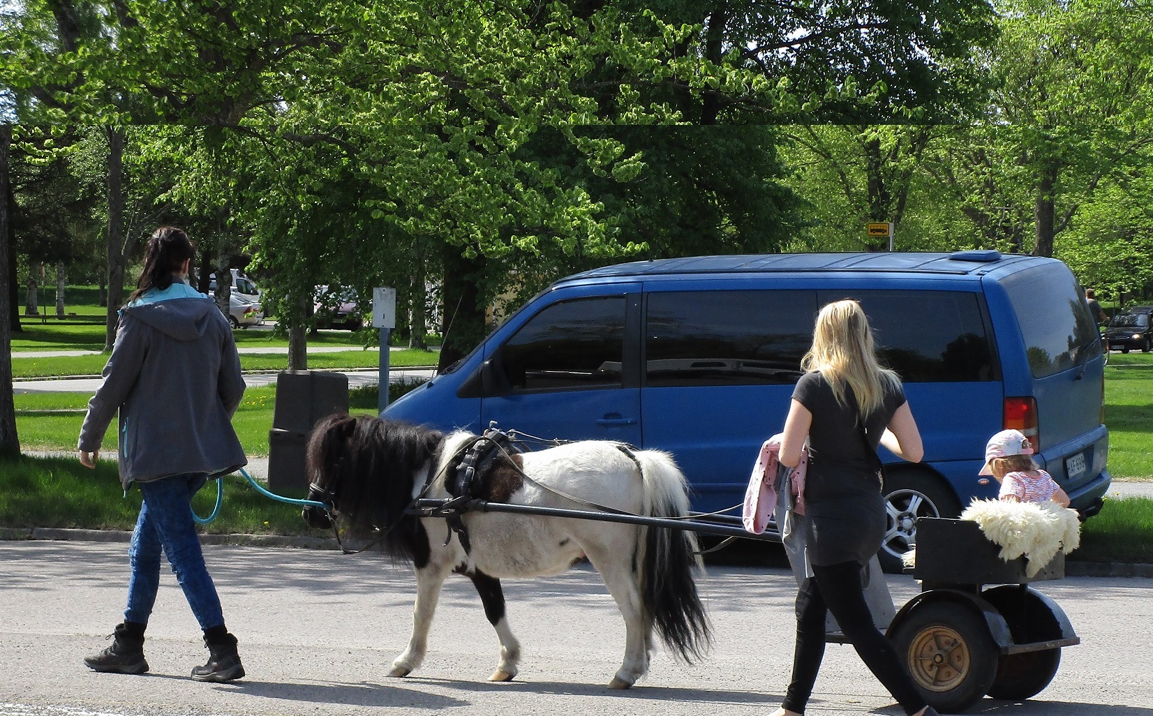 poni1a